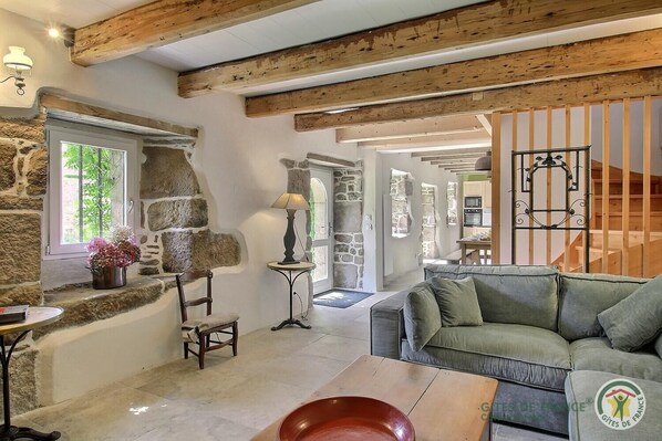 TV, fireplace, books