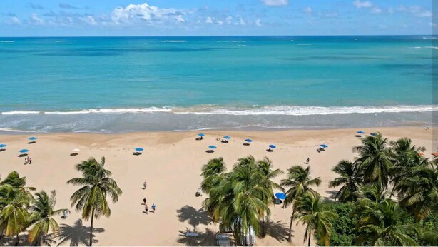 Una playa con palmeras, sombrillas y una vista despejada del océano.