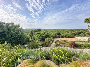 A landscape with a variety of vegetation, a dirt path, and a distant view of mountains under a partly cloudy sky.