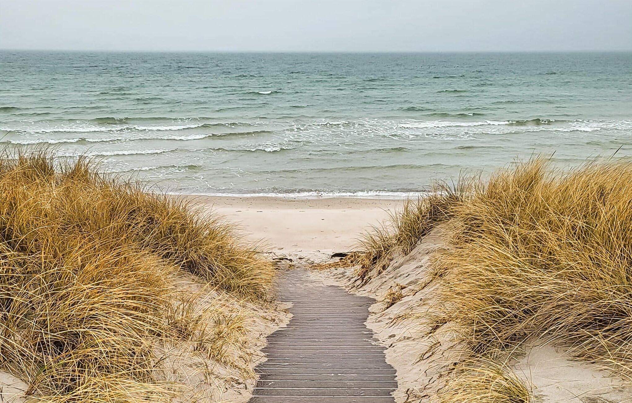Plage à proximité, pêche récréative