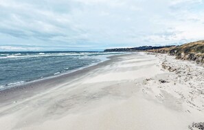 Playa en los alrededores y pesca 