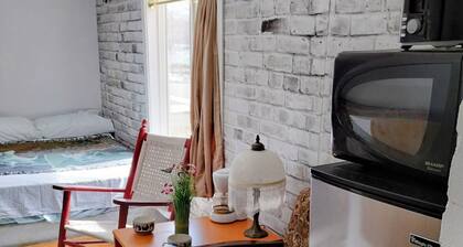 Downtown Peterborough property, lake view; walk to cafes, pubs theatre & beaches