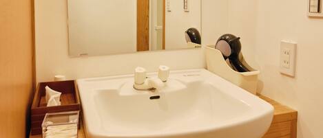 A bathroom with a white sink, a mirror, a hairdryer, and a tissue box.