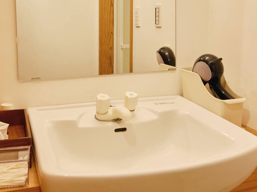 A bathroom with a white sink, a mirror, a hairdryer, and a tissue box.