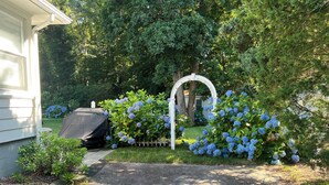 Un jardin agrémenté d’une arche blanche, d’un barbecue et de plusieurs arbustes d’hortensias.