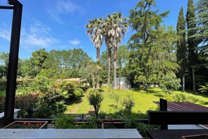 Property grounds - La Dolce Vita - A Tropical Garden in Rome (Roma)