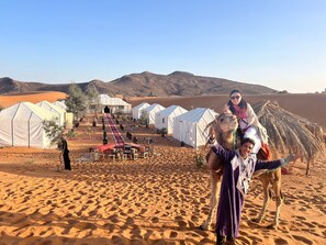 Property grounds - Private tent and camel ride (Merzouga)