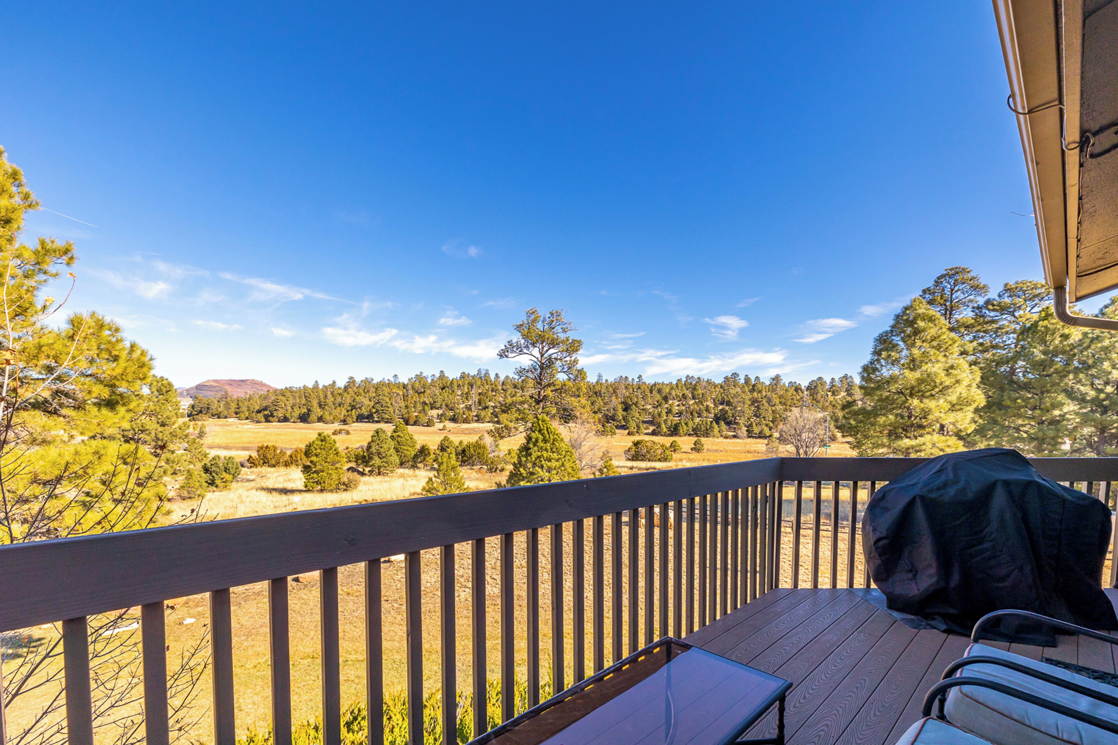 Condo | Terrace/patio