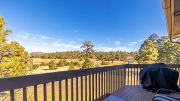 Condo | Terraço/pátio