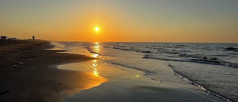 Nära stranden