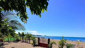 A beach view with a fenced area, palm trees, and a clear sky.