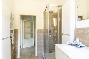 Shower, hair dryer, bidet, towels