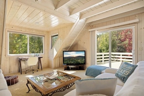 Smart TV, fireplace, ping pong, books