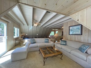 Smart TV, fireplace, table tennis, books