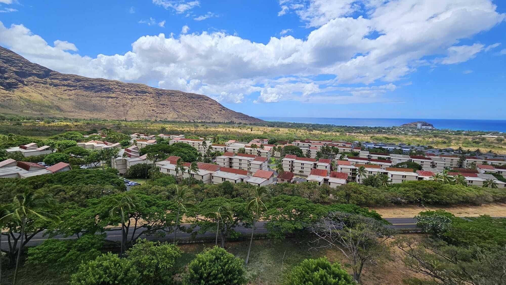 A residential area with houses, a road, and a mountain in the background.