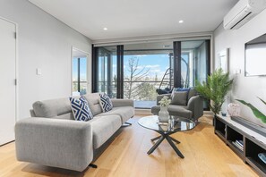 Smart TV 55 pulgadas con canales de televisión digitales, Netflix