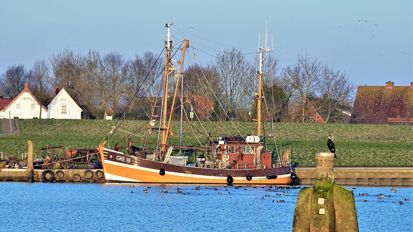 Een grote vissersboot afgemeerd aan een pier met een graswal en huizen op de achtergrond.