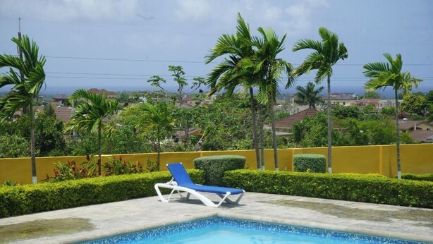 A swimming pool with a blue chair, surrounded by greenery and palm trees, with a view of houses in the background. - Private Retreat Getaway (Florence Hall Village)