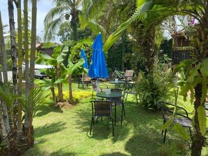 Terraço/pátio