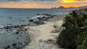 A coastal path with rocky terrain and palm trees, leading to a beach with a sunset view.