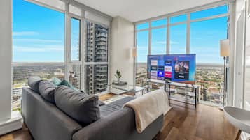 Smart TV, fireplace, books