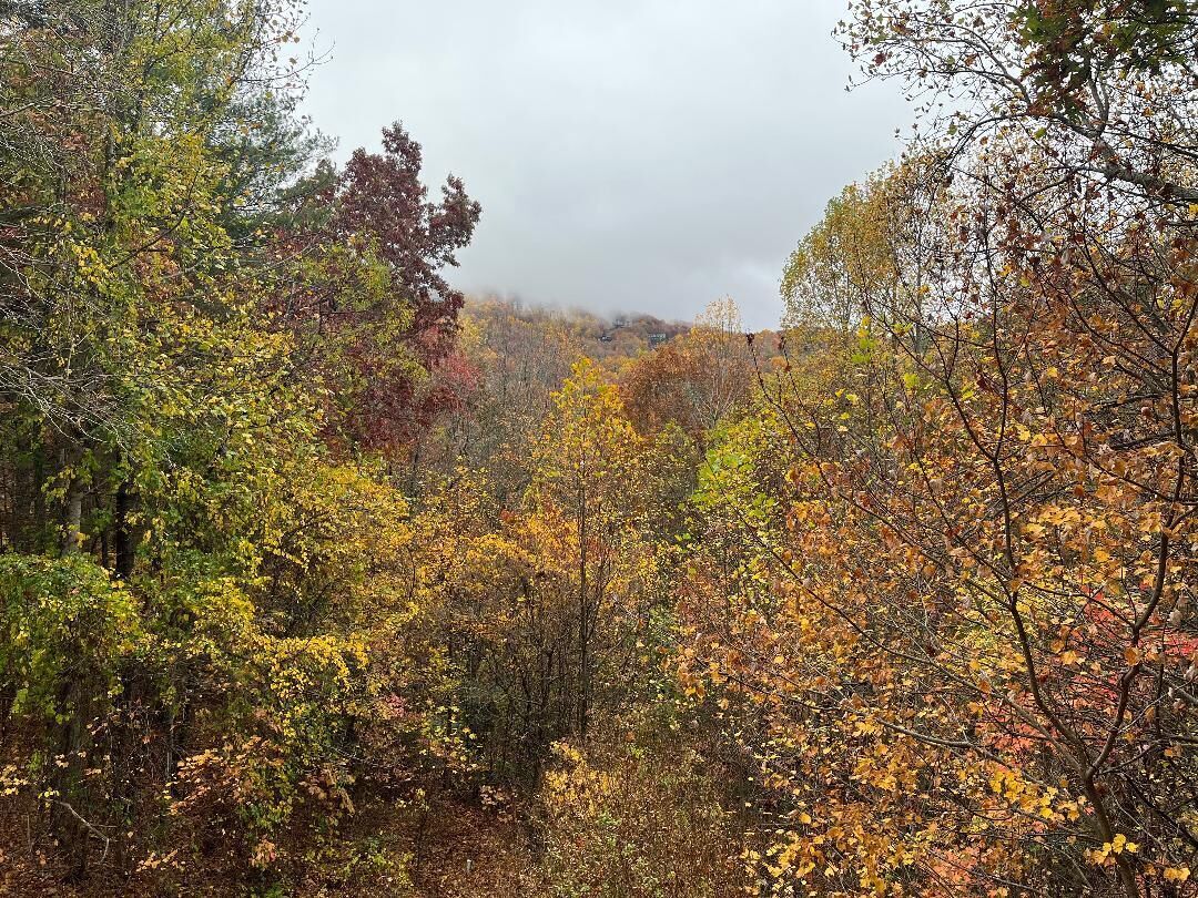 Fall in Sky Valley
