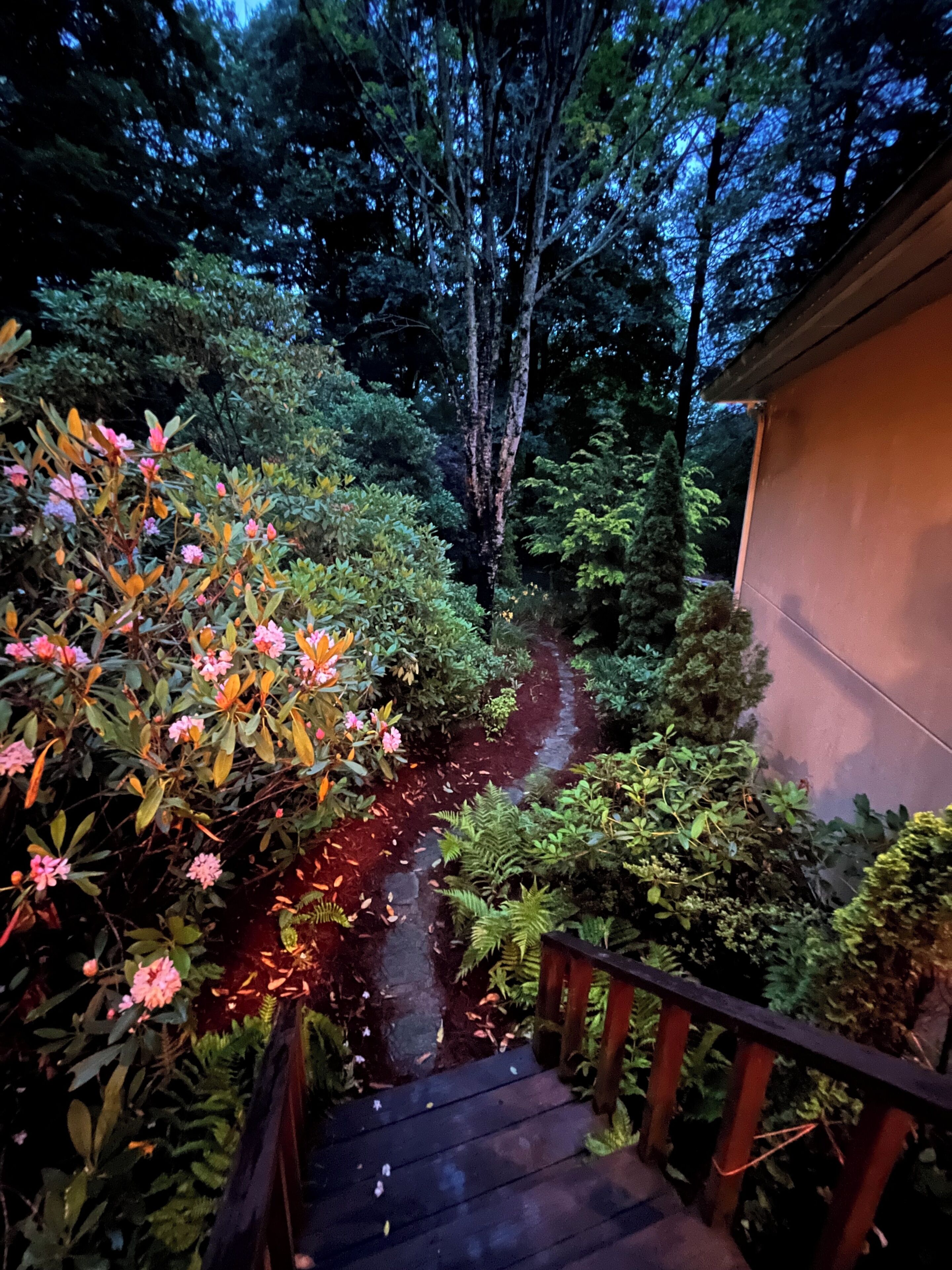The fenced side garden off the front porch is beautiful and perfect for pets.