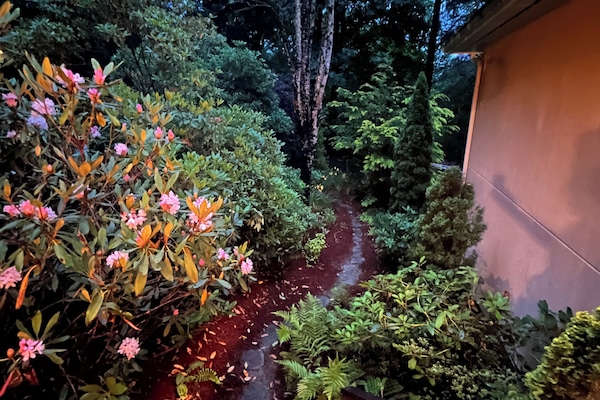Jardines del alojamiento