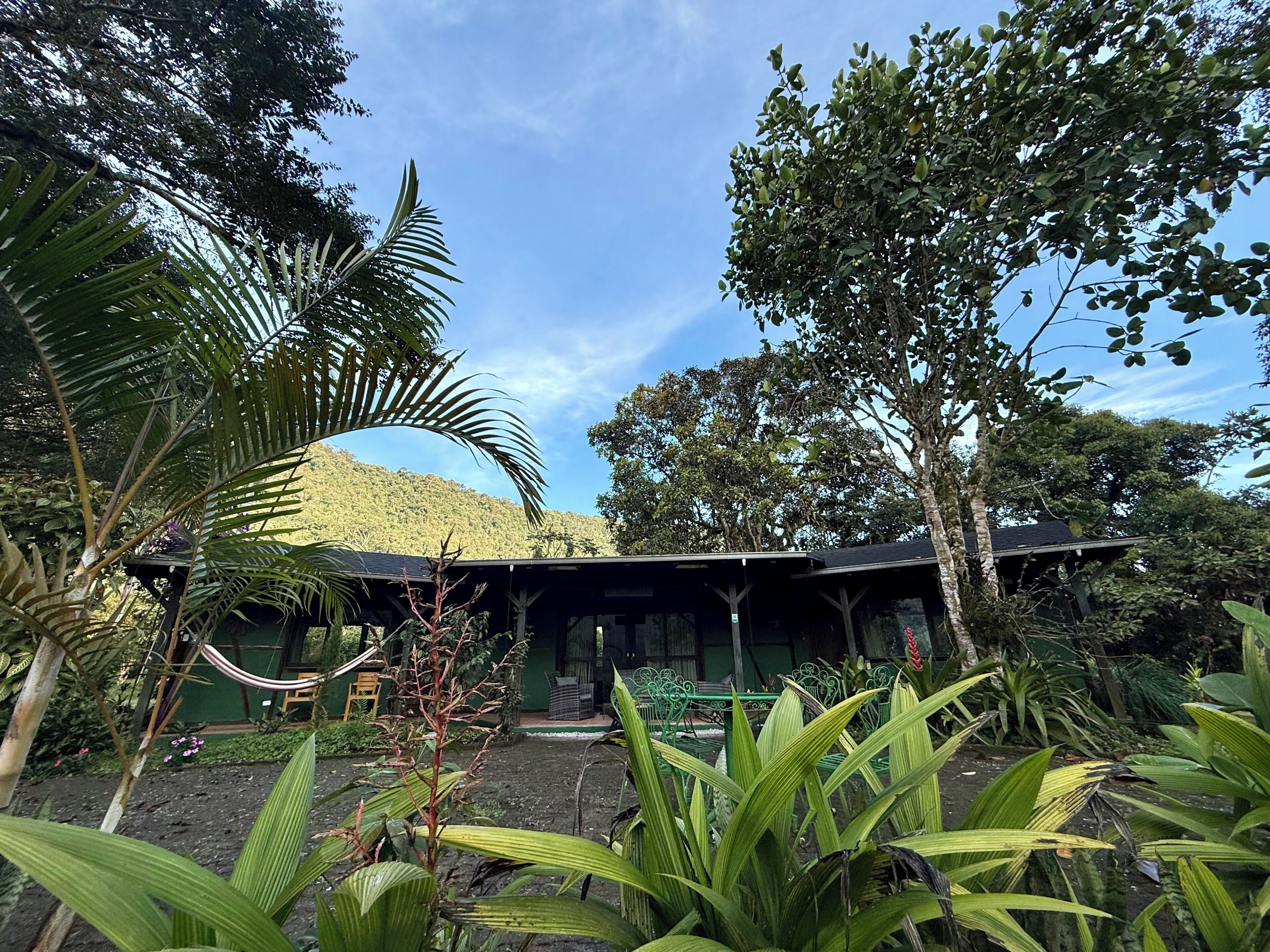 A tropical garden with a wooden structure, possibly a gazebo, surrounded by lush greenery and a clear sky.