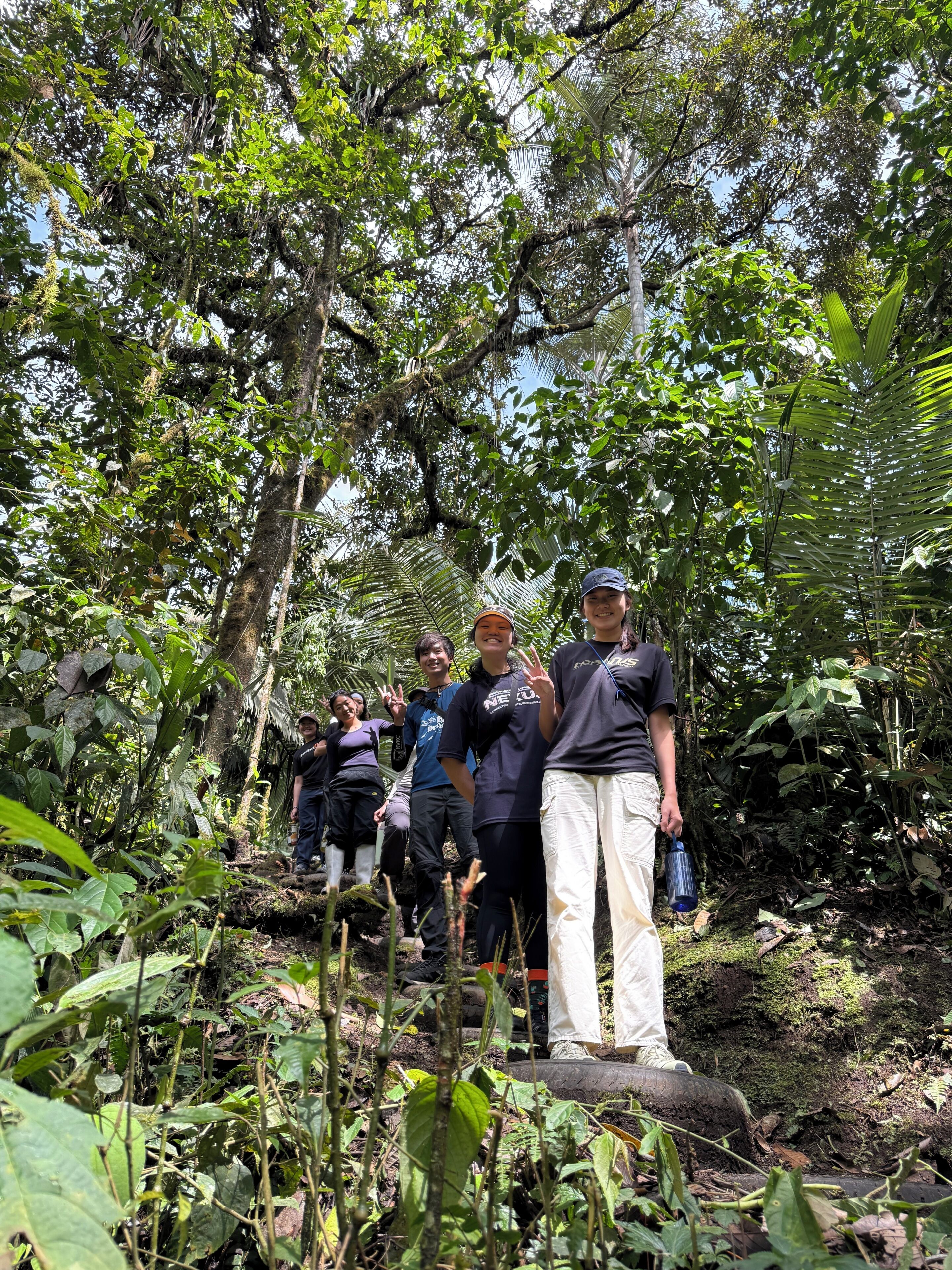 Un grupo de personas de pie en un sendero boscoso rodeado de follaje denso.
