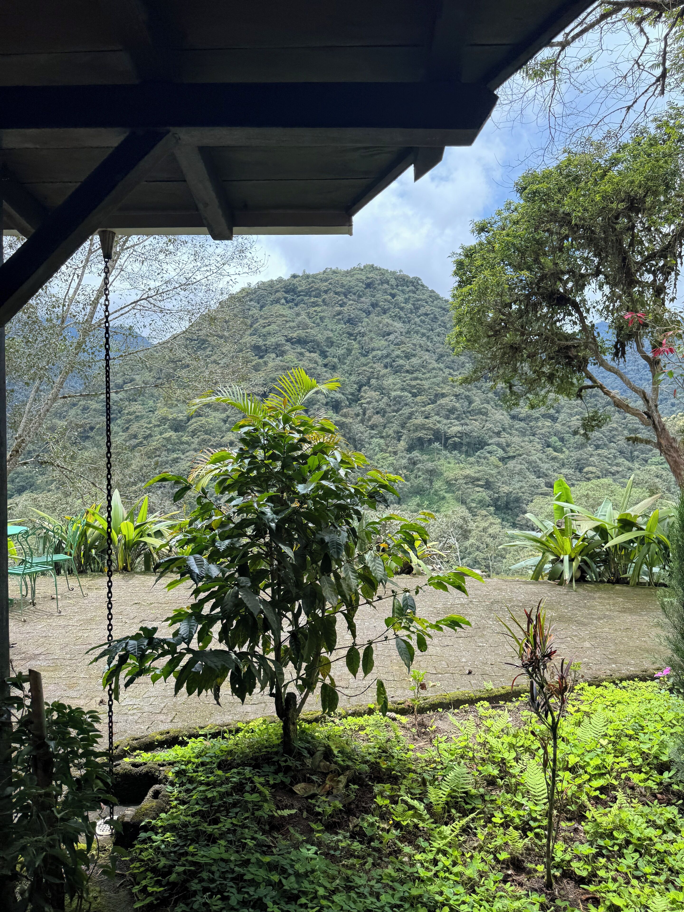 Family Cabin, 3 Bedrooms, Balcony, Mountain View | Terrace/patio