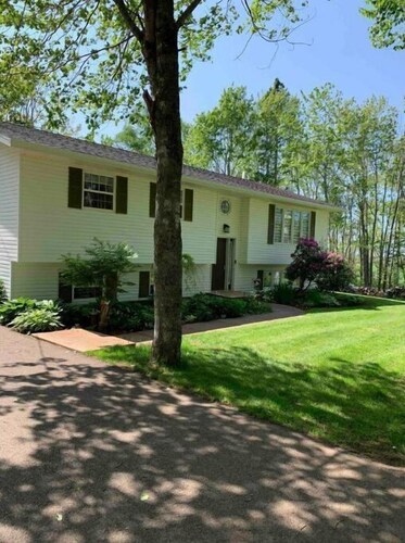Beautiful split entry home in a wooded paradise!
