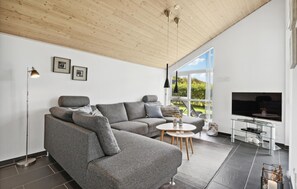 Smart-TV, Kamin
