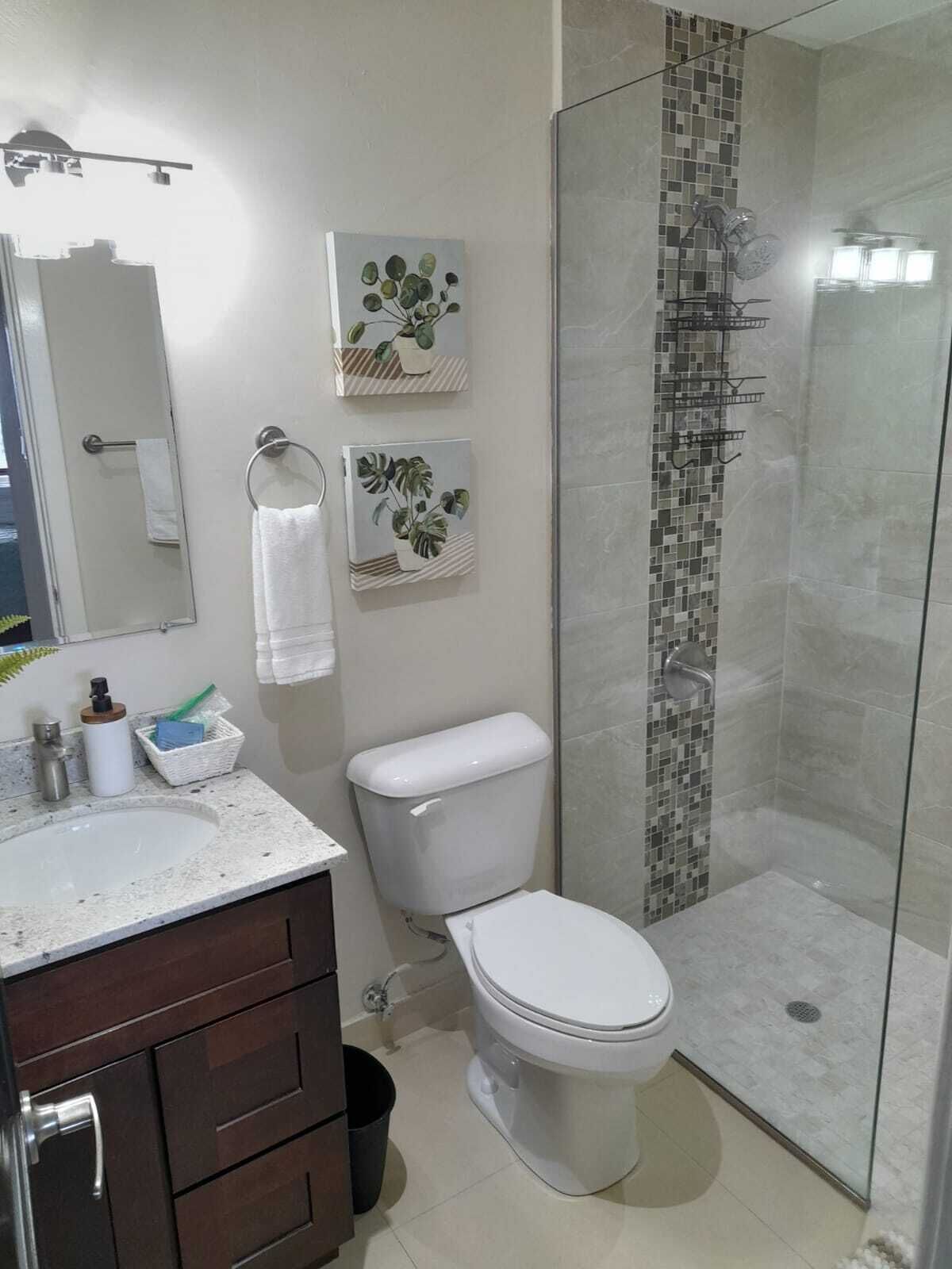 Regadera, amenidades de baño ecológicas, secadora de cabello, toallas 