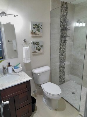 Regadera, amenidades de baño ecológicas, secadora de cabello, toallas 