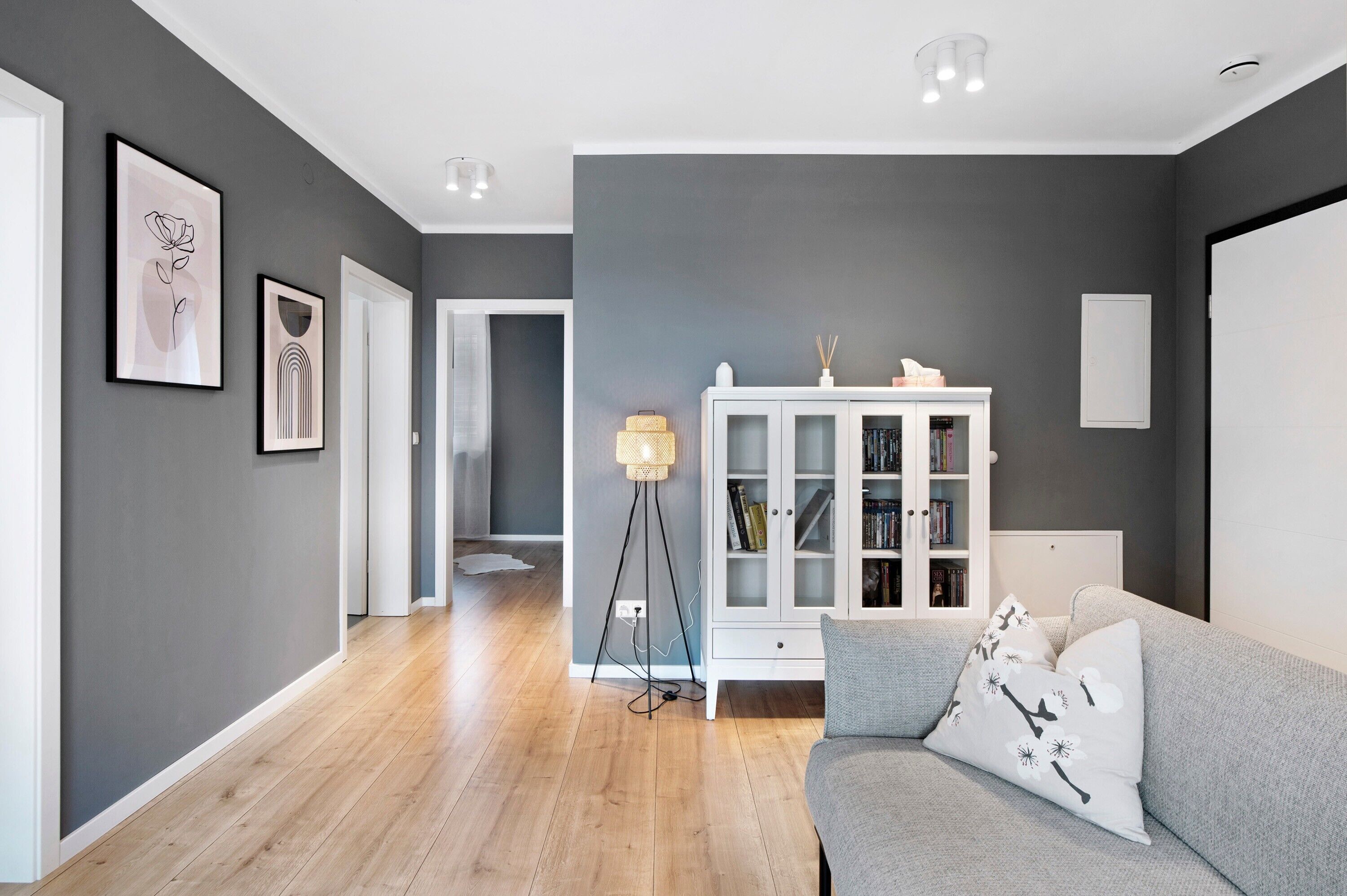 Fernseher, DVD-Player