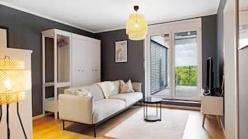 Televisio, DVD-soitin