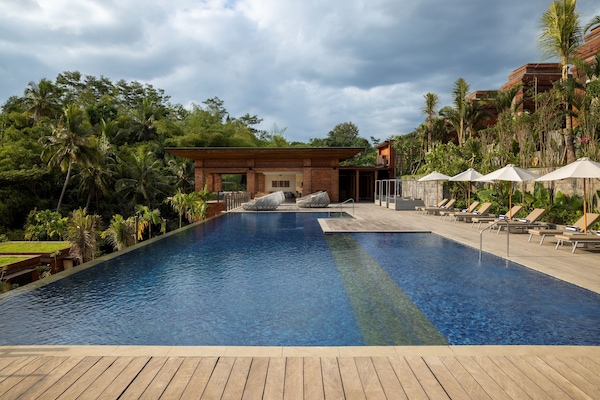 Outdoor pool, pool umbrellas, sun loungers