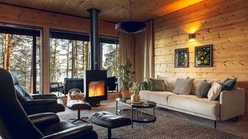 TV, fireplace, stereo