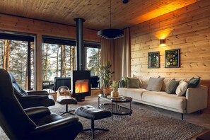 TV, fireplace, stereo