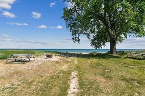 Ein Strand mit Picknicktischen und einem großen Baum.