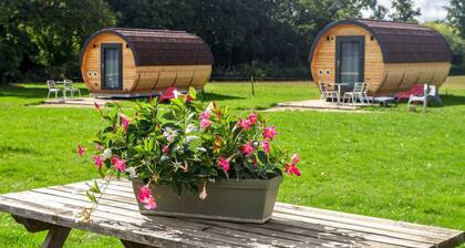 Muscat, Domaine Joseph Lafarge