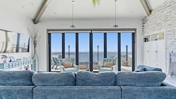 TV, caminetto, libri