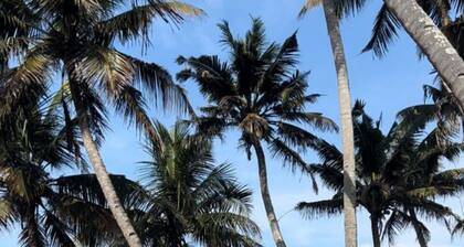 Cliff beach chalet with private beach access near Varkala.