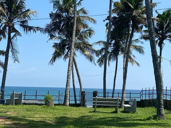 Eine Rasenfläche mit Palmen und einer Bank am Meer.