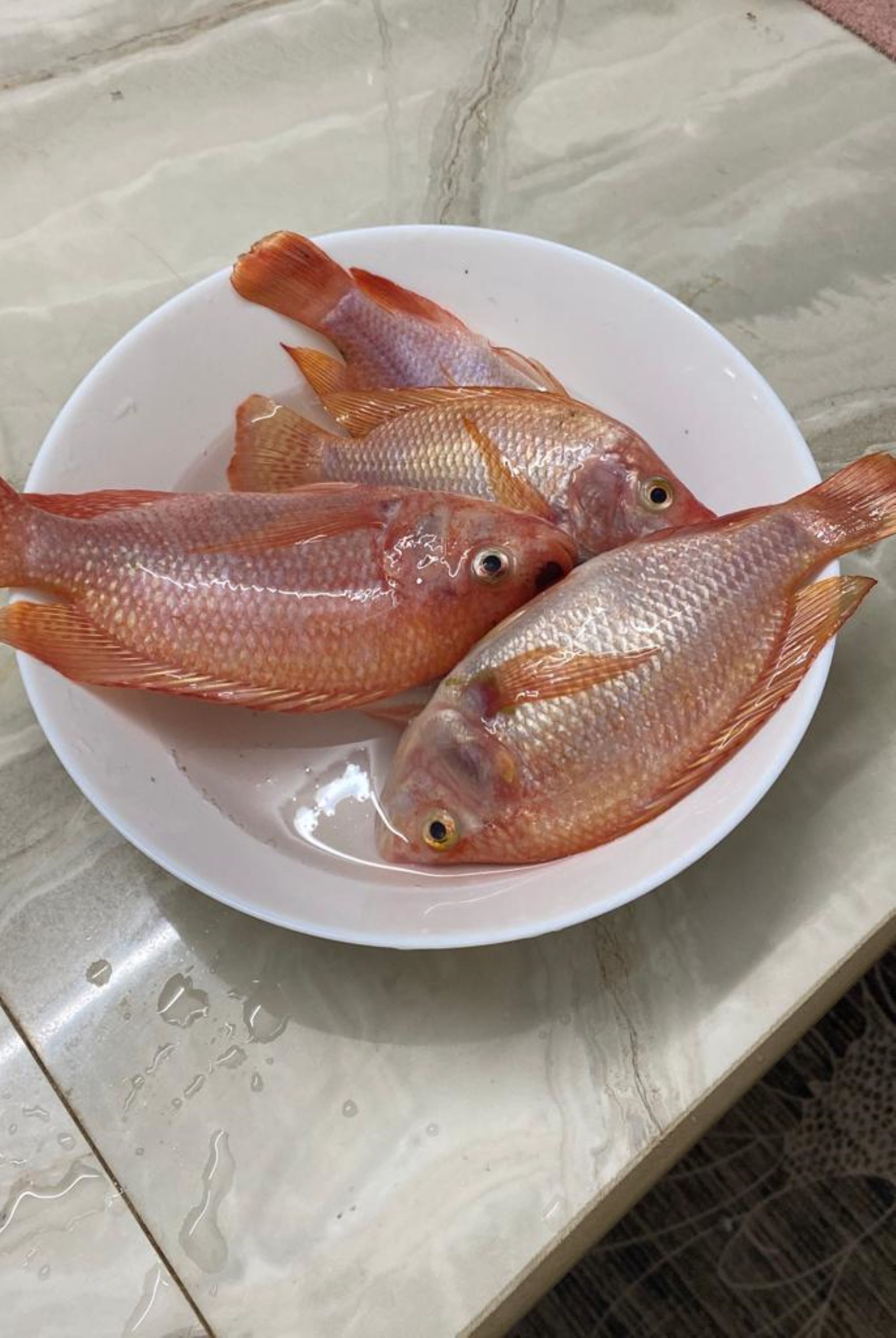 餐飲