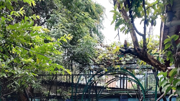 Unclassified image, 1 of 7, button - Garden View Hostel  (Kathmandu)