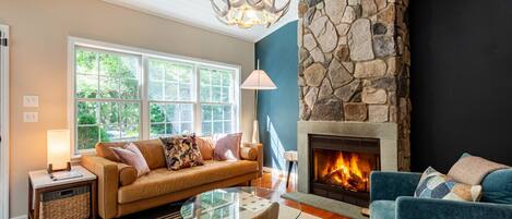 TV connectée, cheminée, livres, espaces bureaux