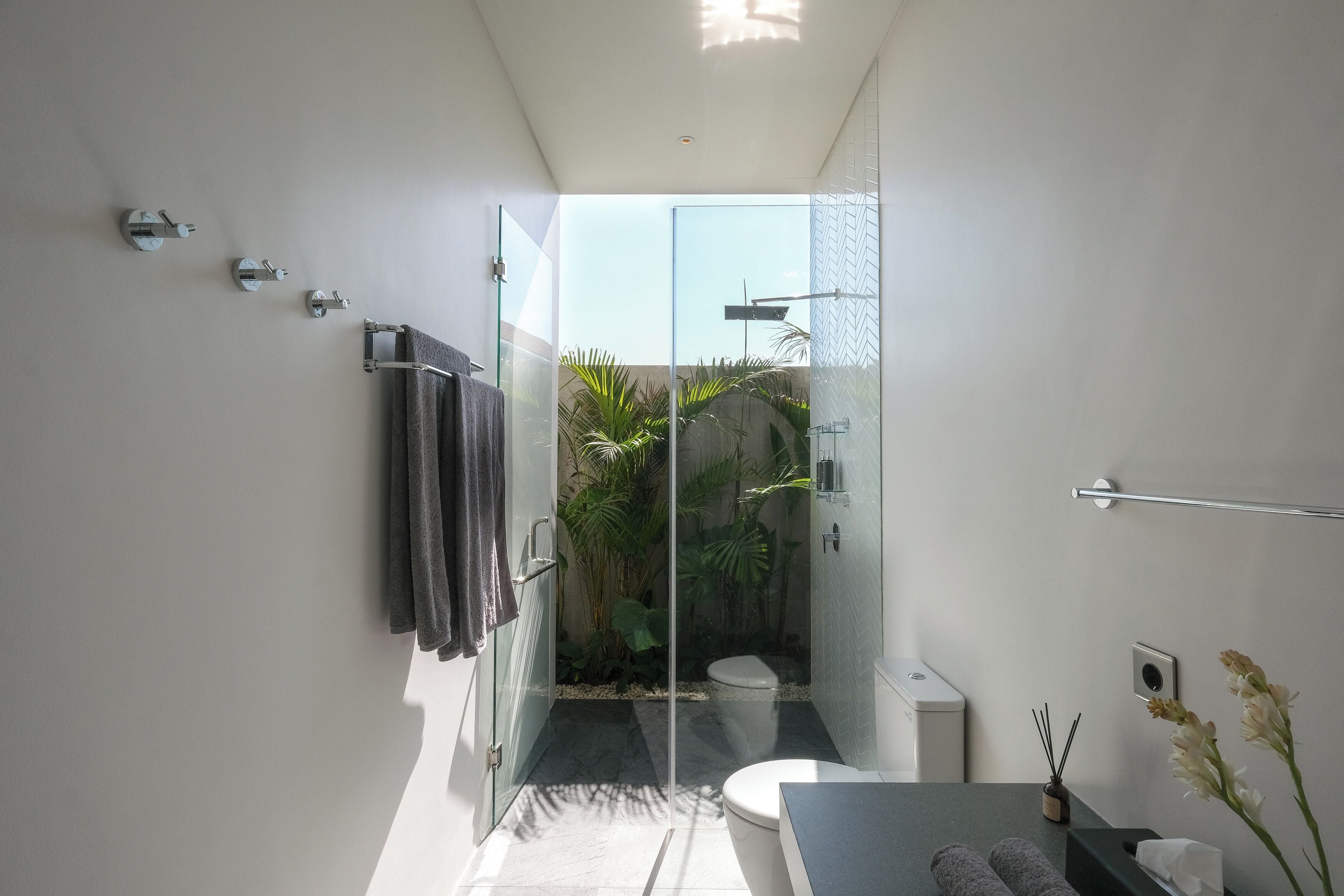 Un baño moderno con cabina de ducha de vidrio, inodoro y zona de lavamanos con perchero y planta.