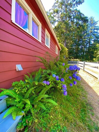 Ocean Park Beach Cottage